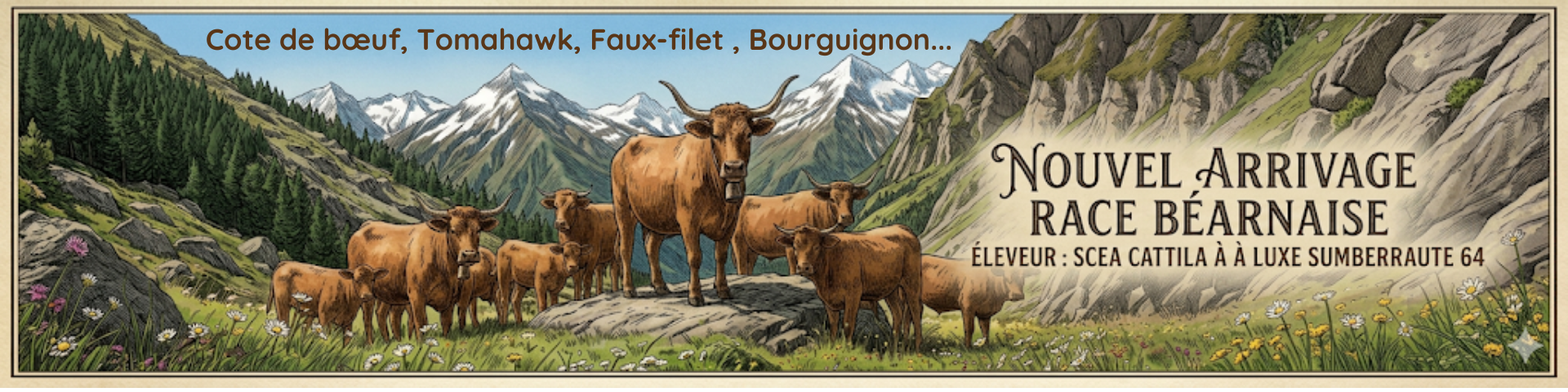 Boeuf S&eacute;lection des Pyr&eacute;n&eacute;es